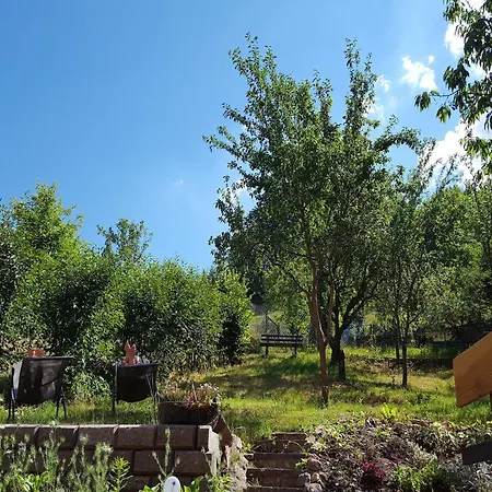 Charming With Natural Garden In Kaltennordheim Thuringia *