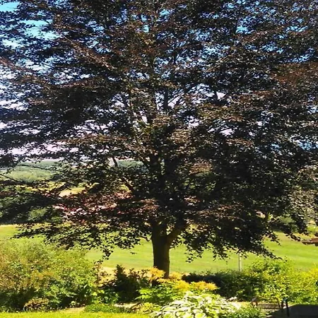 Holiday home Charming With Natural Garden In Kaltennordheim-thuringia