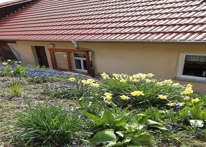 Tatil Evi Charming With Natural Garden In Kaltennordheim-thuringia Unterweid