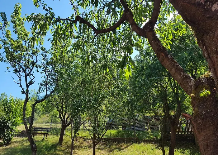 Charming With Natural Garden In Kaltennordheim-thuringia Tatil Evi Unterweid