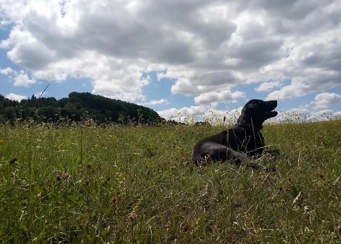 Tatil Evi Charming With Natural Garden In Kaltennordheim-thuringia *