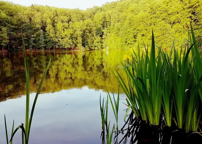 Charming With Natural Garden In Kaltennordheim-thuringia Tatil Evi Unterweid