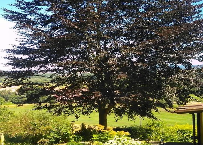 Tatil Evi Charming With Natural Garden In Kaltennordheim-thuringia